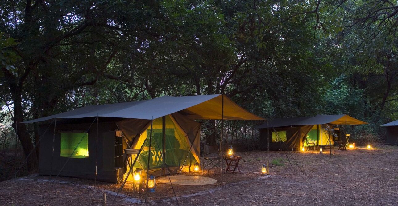 Safe Family Safari Planning with Kids: How to Avoid Dangerous Mistakes With Kids in the Bush