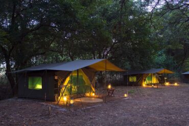 Safe Family Safari Planning