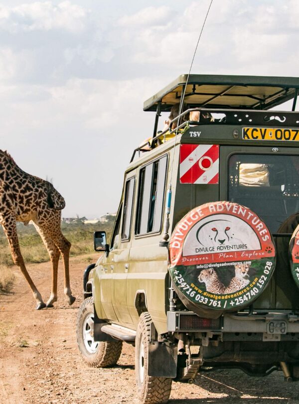 Nairobi National Park Half Day Safari divulge adventures