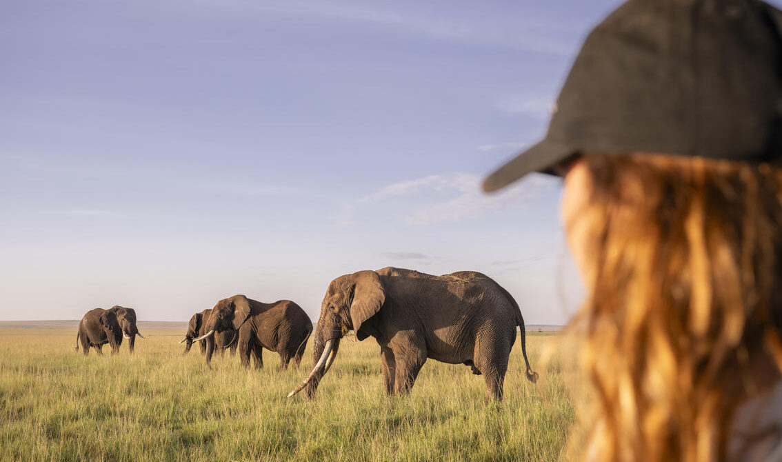 The Best National Parks in Tanzania: A Complete 2026 Safari Guide