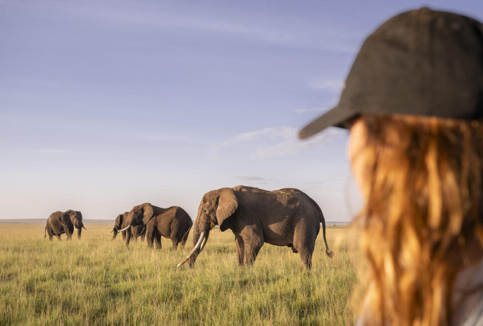 guests on safari best national parks in Tanzania