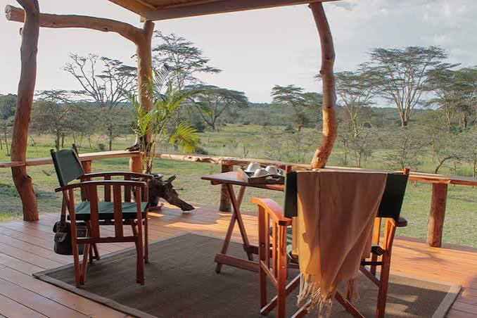 Accommodation ol pejeta safari cottages