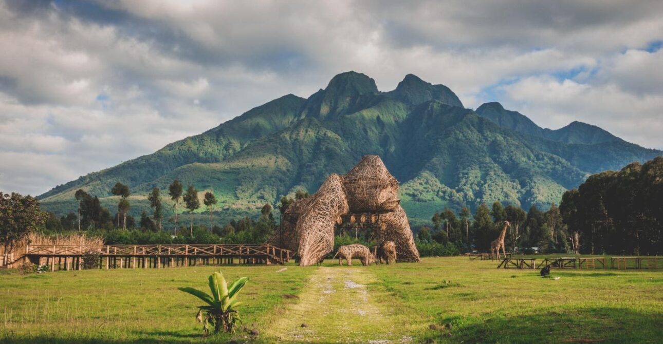 Rwanda Gorilla Permit: Prices, Discounts and How to Book