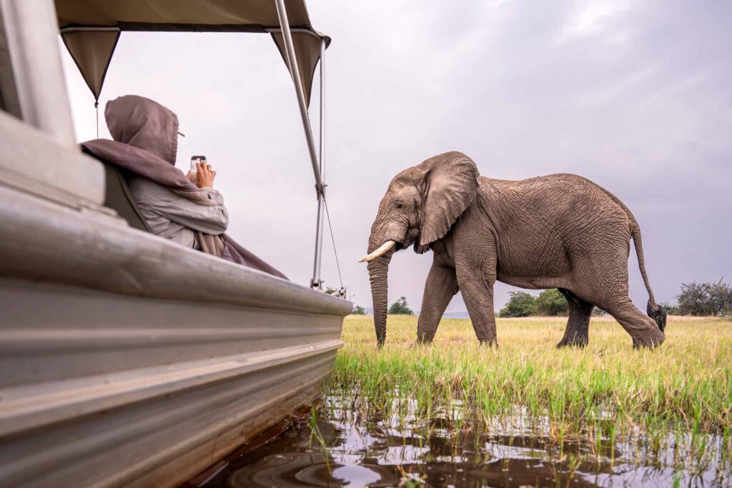 akagera-and-nyungwe-safari-rwanda