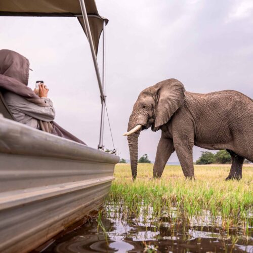 akagera-and-nyungwe-safari-rwanda