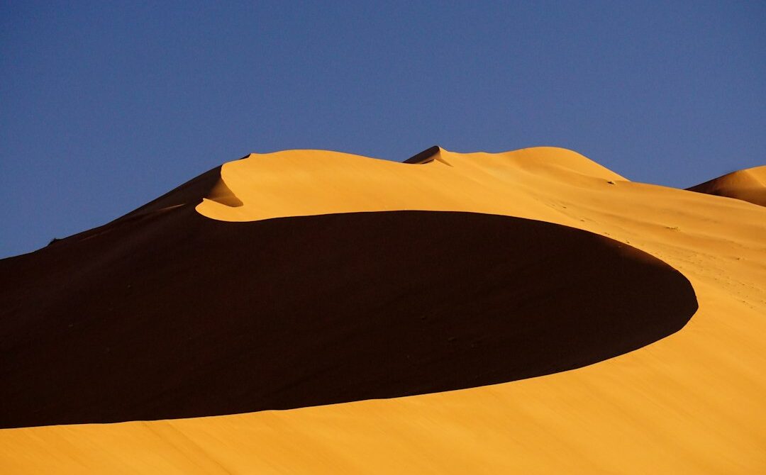 Best Time to Visit Namibia: A Month-by-Month Safari Guide