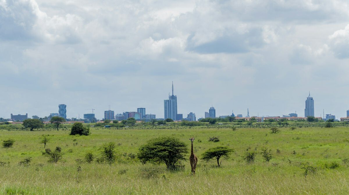 Day Trips from Nairobi: 12 Best Escapes by Distance and Time