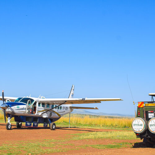 divulge-adventures-safari-jeep-beside-light-aircraft-fly-in-safari