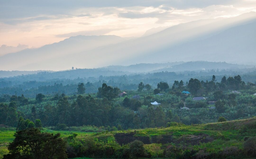 East Africa Tourist Visa: Cost, Rules and How to Apply