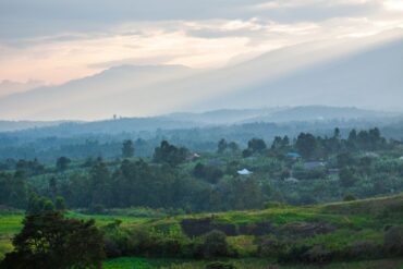 East Africa tourist visa – green hills and forest below the Rwenzori Mountains