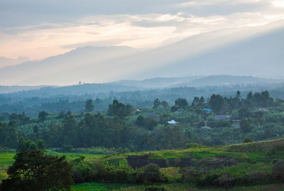 East Africa tourist visa – green hills and forest below the Rwenzori Mountains