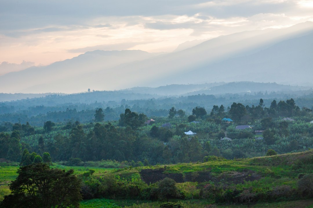 East Africa tourist visa – green hills and forest below the Rwenzori Mountains