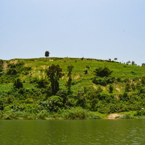 Lake Kivu shoreline in Rwanda