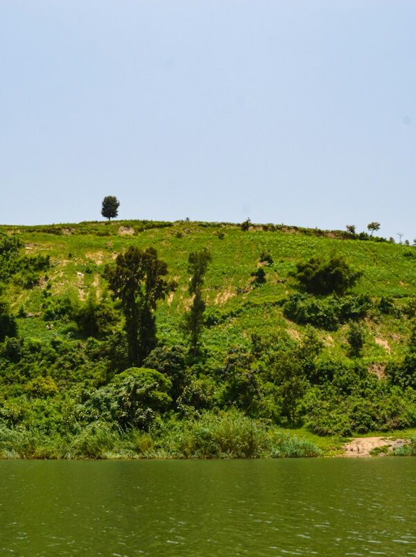 Lake Kivu shoreline in Rwanda
