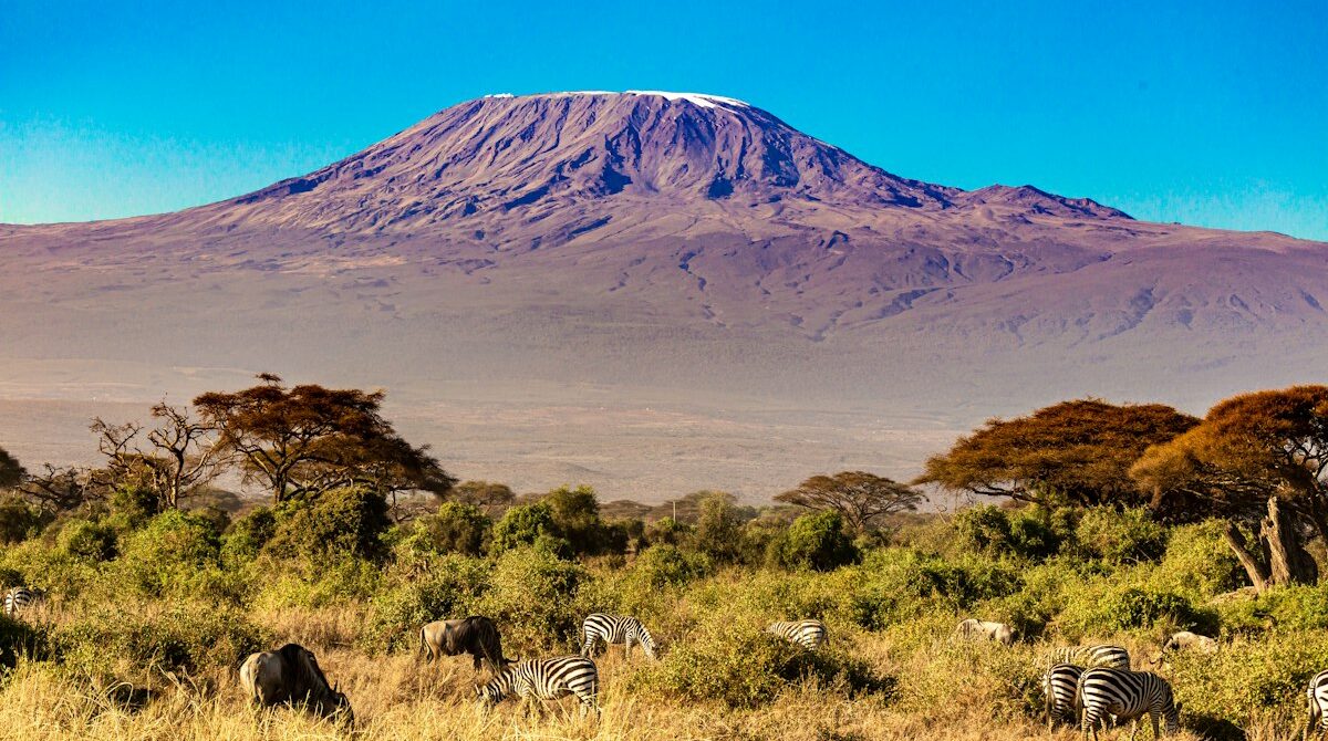 Kenya Safari in December: Weather, Wildlife, Costs and Where to Go