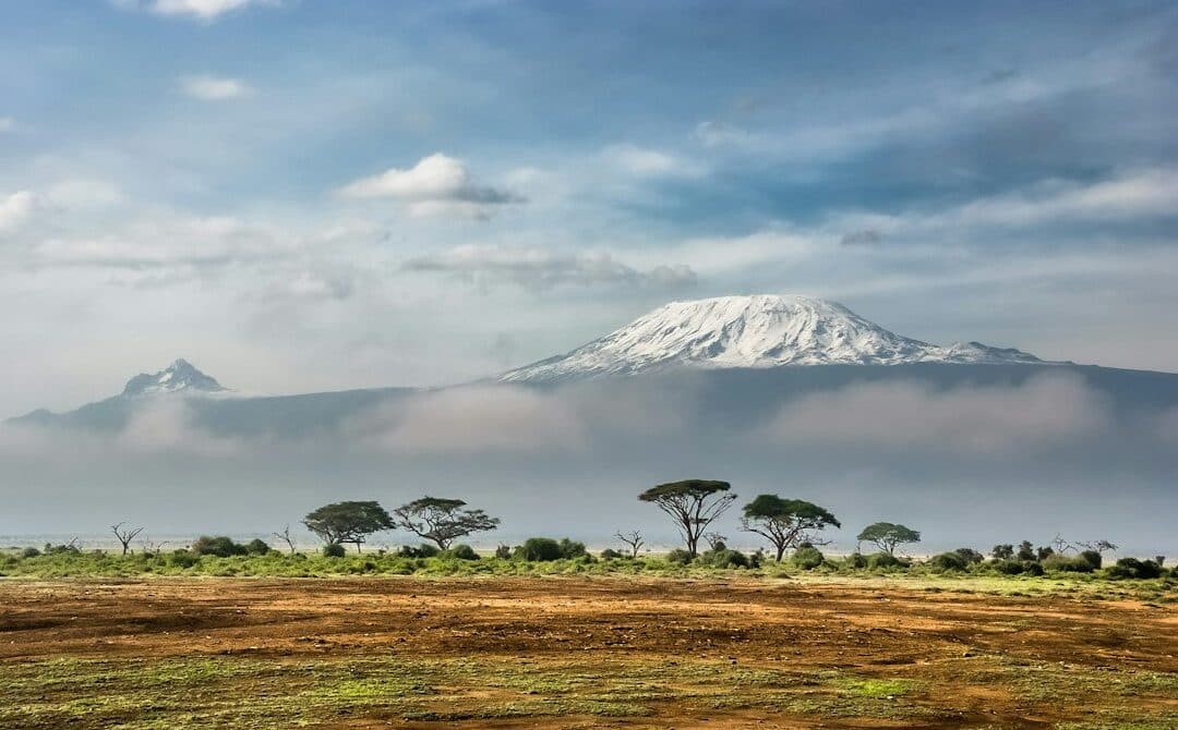 Kilimanjaro Routes Compared: Which of the Seven Suits Your Days, Budget and Nerves?