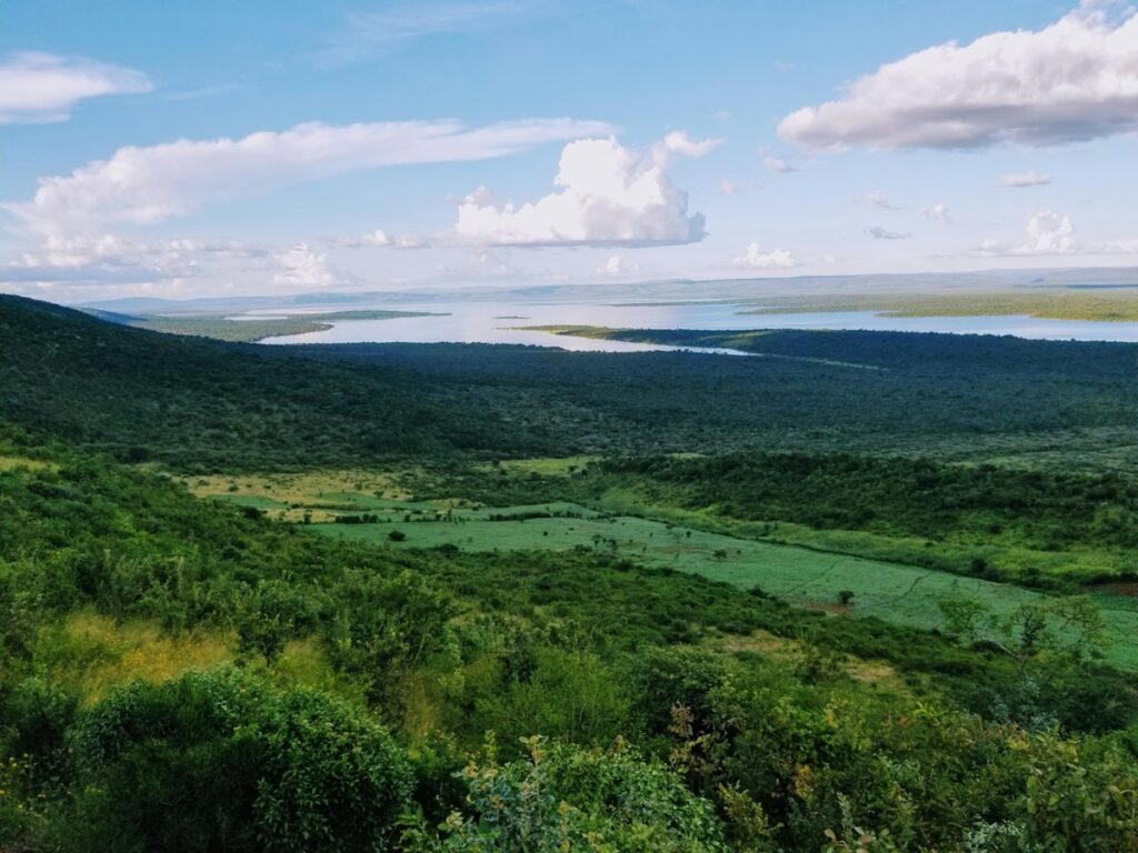 Lake landscape in Akagera National Park, Rwanda