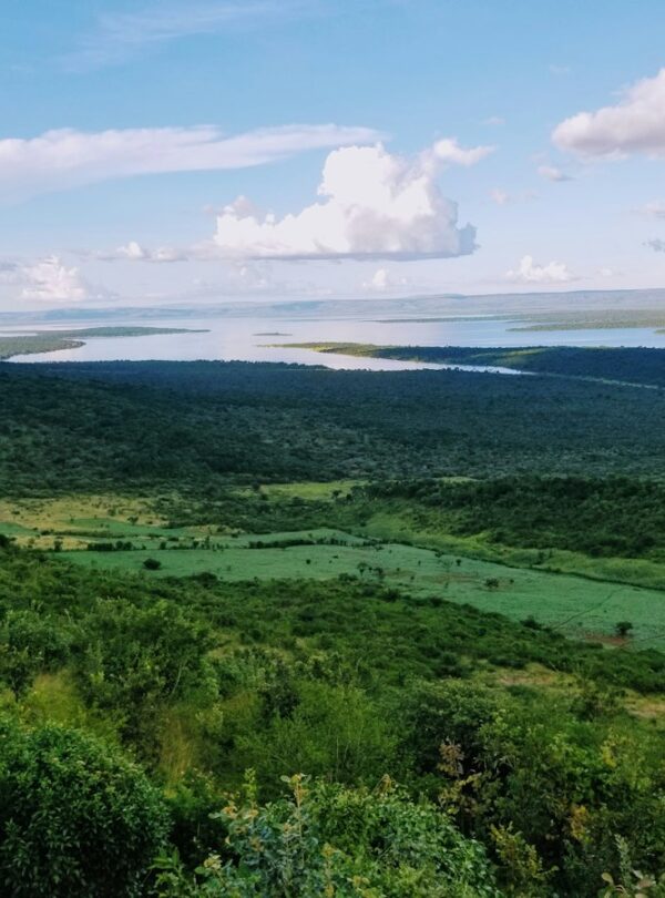 Lake landscape in Akagera National Park, Rwanda