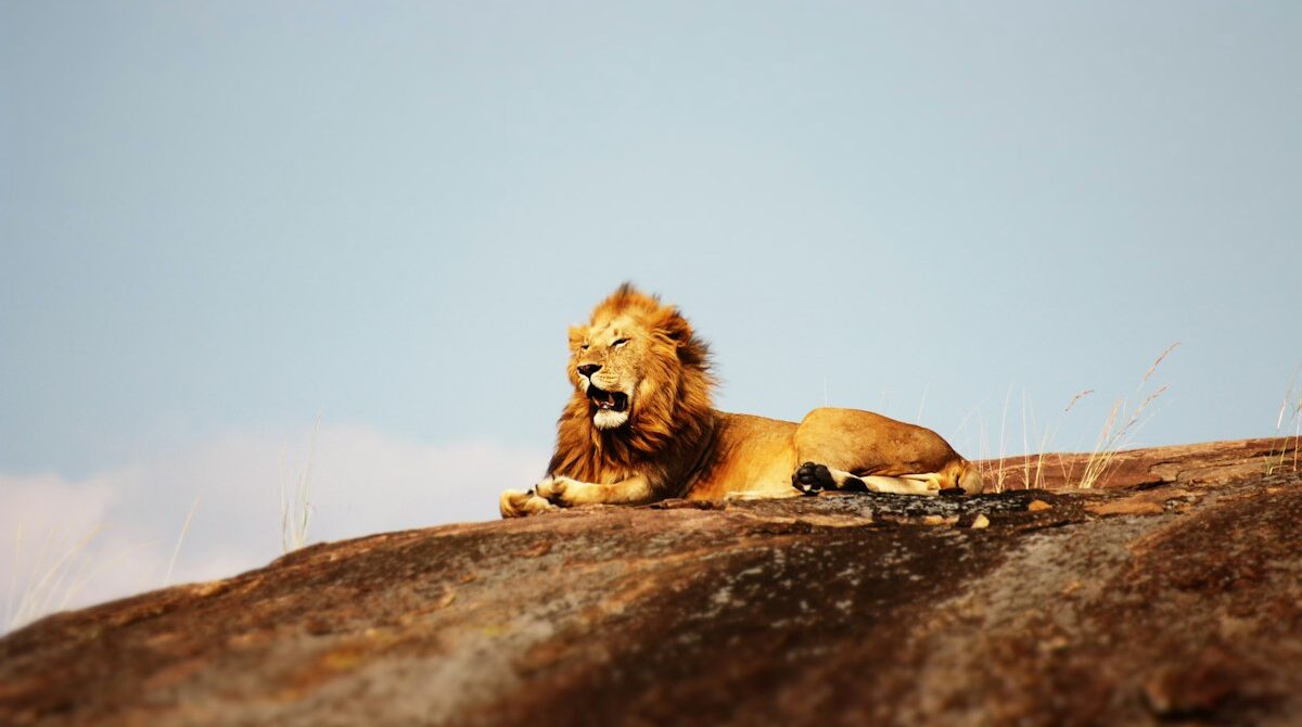 A Kenya and Tanzania Safari Works Best When You Plan the Border First