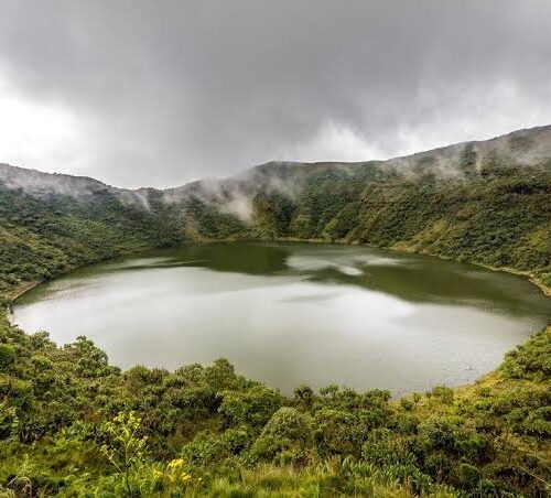 Golden Monkey and Bisoke Hike tour