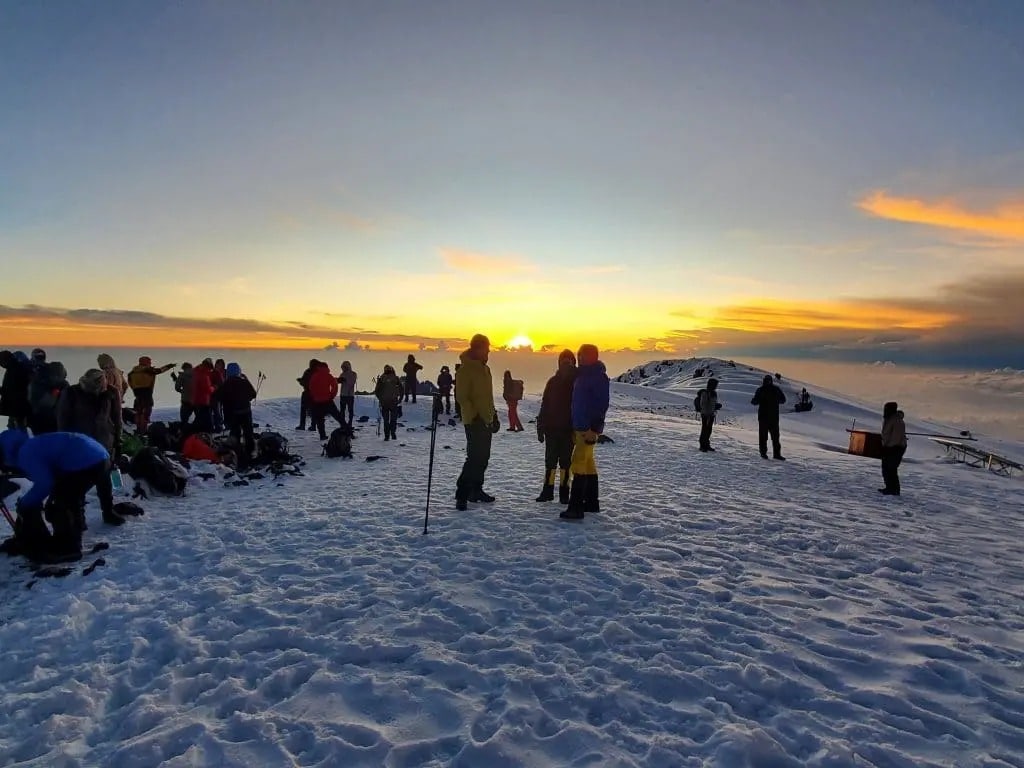 Mt Kilimanjaro hiking and safari combo
