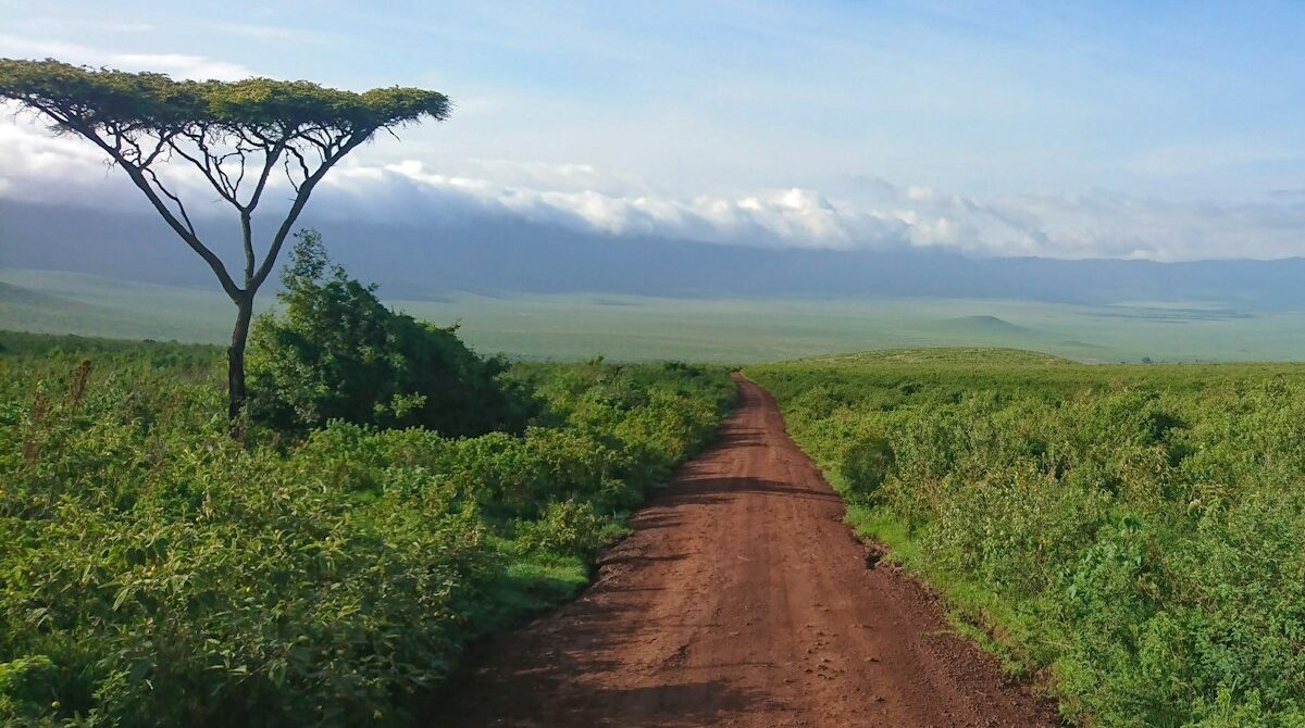 Ngorongoro Crater Lodges: Where to Stay on the Rim, in the Highlands and in Karatu