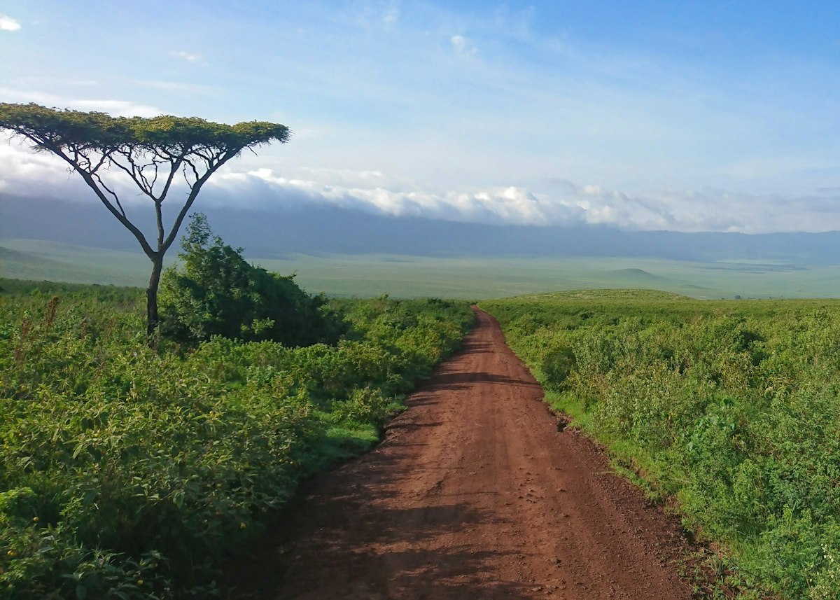 Ngorongoro crater lodges - a dirt road through green grassland with a view over the Ngorongoro Crater