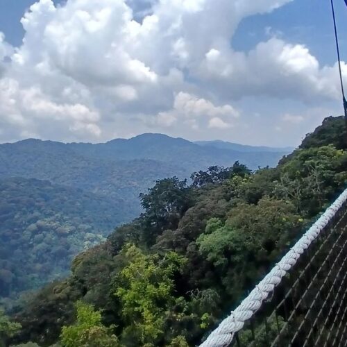 nyungwe forest and lake kivu canopy walk