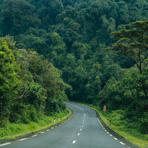 Road through Nyungwe Forest National Park in Rwanda