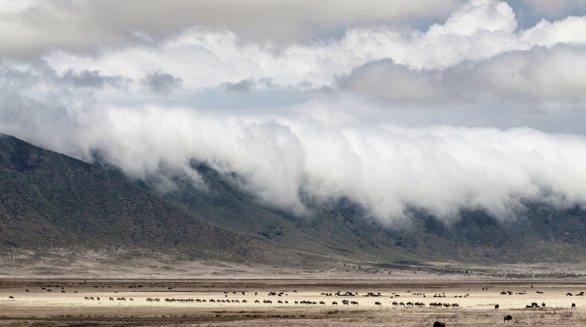 Tanzania Northern Circuit Itinerary: Day-by-Day Routes, Costs and Best Time