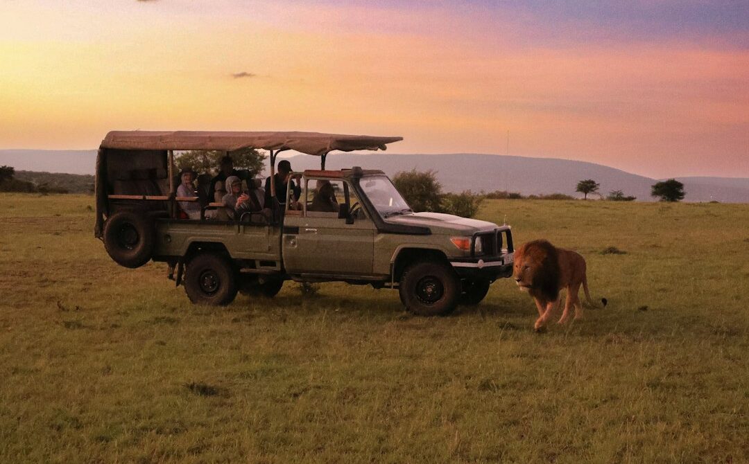 Tipping in Kenya: How Much to Tip on Safari, at Lodges and on Mount Kenya