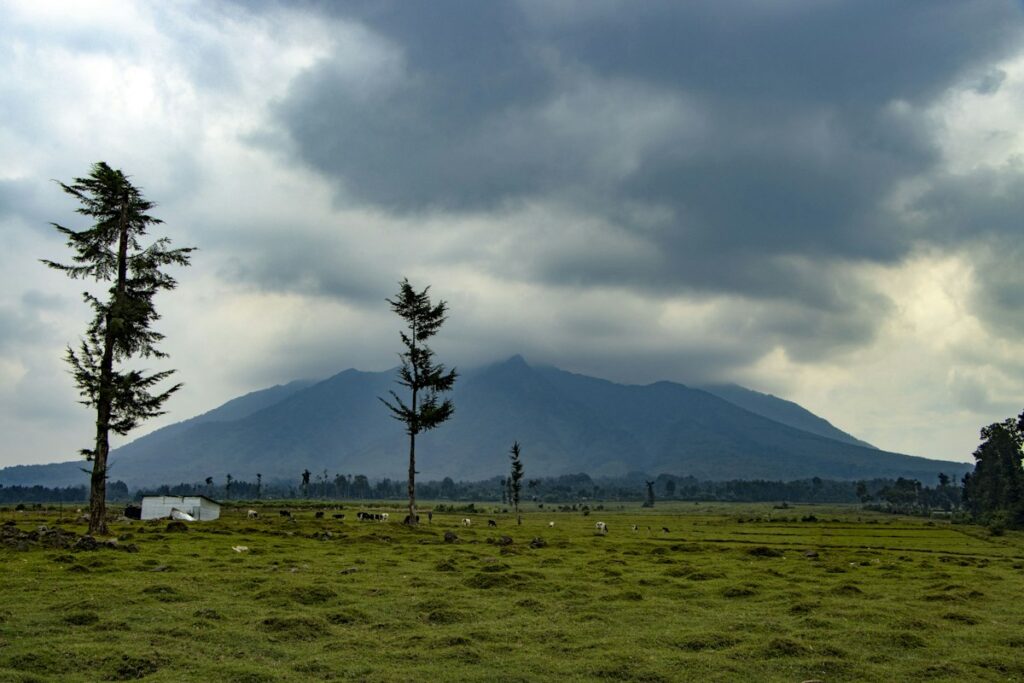 Virunga volcano near the Mount Bisoke hike