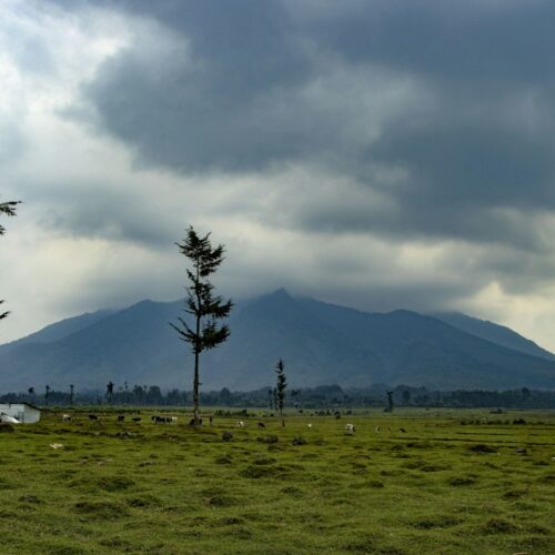 Virunga volcano near the Mount Bisoke hike